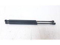 AMORTIGUADORES MALETERO / PORTON 51248254281 