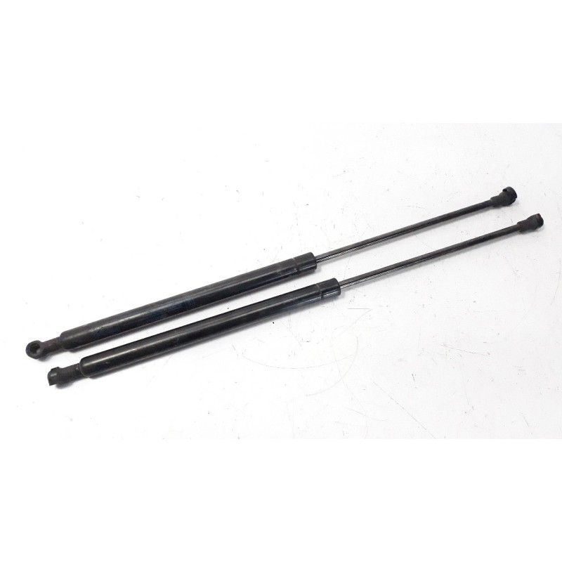 Recambio de amortiguadores de porton para fiat panda (169) 1.3 jtd cat referencia OEM IAM 50CM280N  