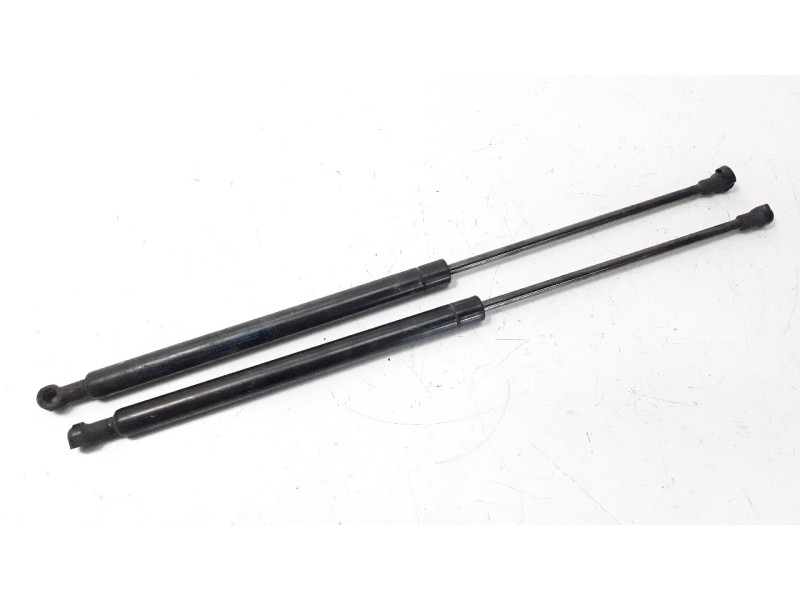 Recambio de amortiguadores de porton para fiat panda (169) 1.3 jtd cat referencia OEM IAM 50CM280N  
