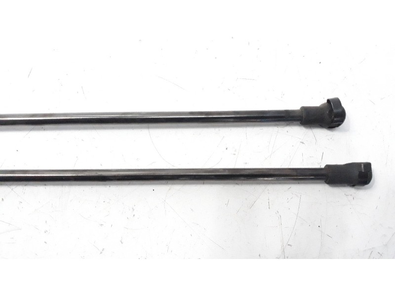 Recambio de amortiguadores de porton para fiat panda (169) 1.3 jtd cat referencia OEM IAM 50CM280N  
