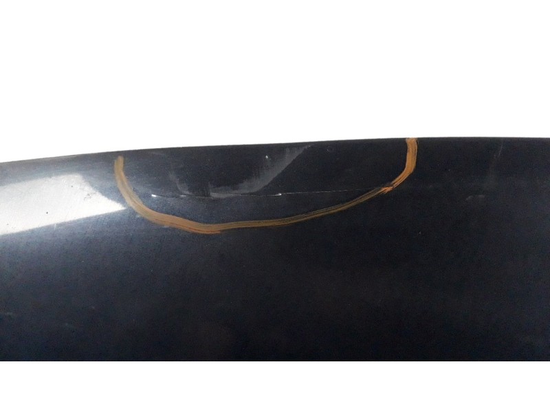 Recambio de capo para audi a8 (4e2) 3.0 v6 24v tdi referencia OEM IAM 4E0823029C  