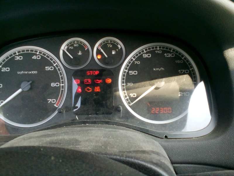 peugeot 307 (s1) del año 2004