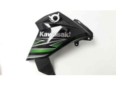 CARENADO DELANTERO IZQUIERDO 491250584 