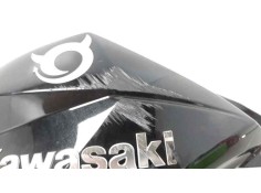 Recambio de carenado delantero izquierdo para kawasaki z 800 z 800 referencia OEM IAM 491250584   2