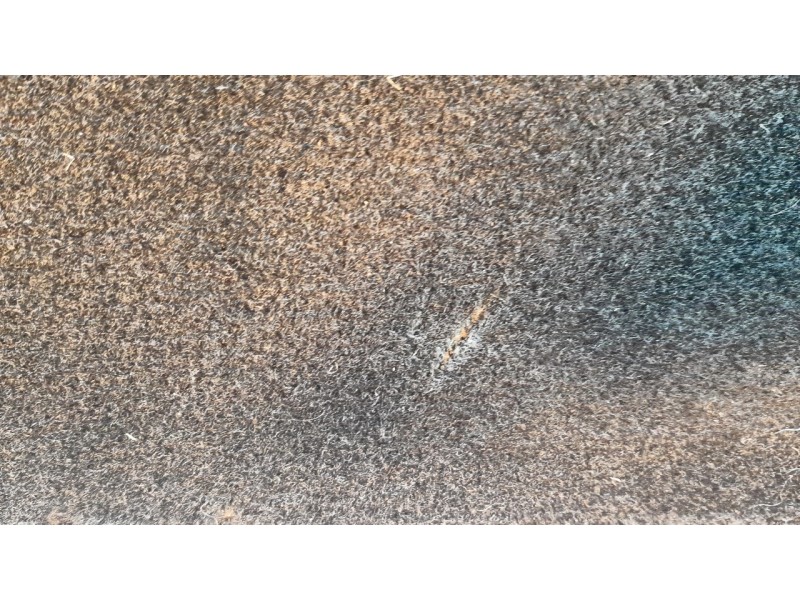 Recambio de bandeja trasera para volvo v60 familiar 2.0 diesel cat referencia OEM IAM 31462612  