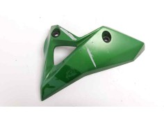 CARENADO DELANTERO IZQUIERDO 550280433 