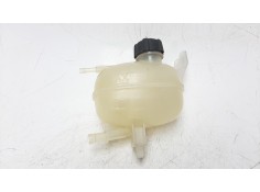 DEPOSITO EXPANSION 217105FA0A 