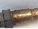 SONDA LAMBDA 55566184 0281004110 