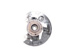 MANGUETA DELANTERA IZQUIERDA 1610137880 