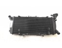 RADIADOR AGUA 1711825833 