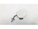 MOLDURA GR3B17F011AB GR3B17F011AB 