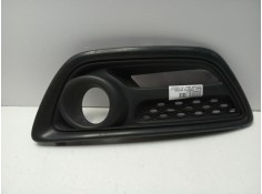 REJILLA PARAGOLPES IZQUIERDA 620752406R 620752406R RN7002134 107199724