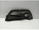 REJILLA PARAGOLPES IZQUIERDA 620752406R 620752406R RN7002134 107199724