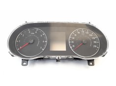 CUADRO INSTRUMENTOS 248093711R 248093711R 