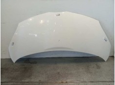 CAPO 533010H100 108906430 TY2013100