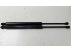 AMORTIGUADORES MALETERO / PORTON 