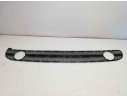 REJILLA PARAGOLPES CENTRAL 1C0807681C01C 1C0807681C01C VG4201811 107233314