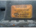 RADIADOR AGUA 253104A100 253104A100 53371