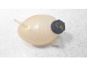 DEPOSITO EXPANSION GN118A080AA 