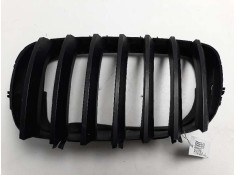 REJILLA DELANTERA 51317157687 107061816 