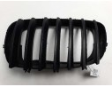 REJILLA DELANTERA 51317157687 107061816 
