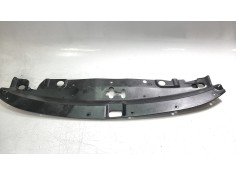 MOLDURAS DELANTERAS 7403A344 