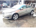 VOLKSWAGEN PASSAT CC (357)