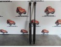 AMORTIGUADORES MALETERO / PORTON 39CM 660N 39CM 660N 