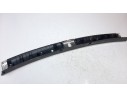 MOLDURA 109888A0 109888A0 