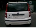 FIAT PANDA (169)