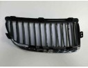 REJILLA DELANTERA 51137120007 107061405 107061405 BM0242004 2101581