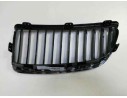 REJILLA DELANTERA 51137120010 107061404 BM0242013