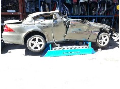 MERCEDES-BENZ CLASE CLS (W219)