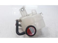 DEPOSITO EXPANSION G910F48011 