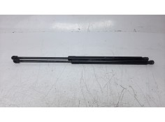 AMORTIGUADORES MALETERO / PORTON 