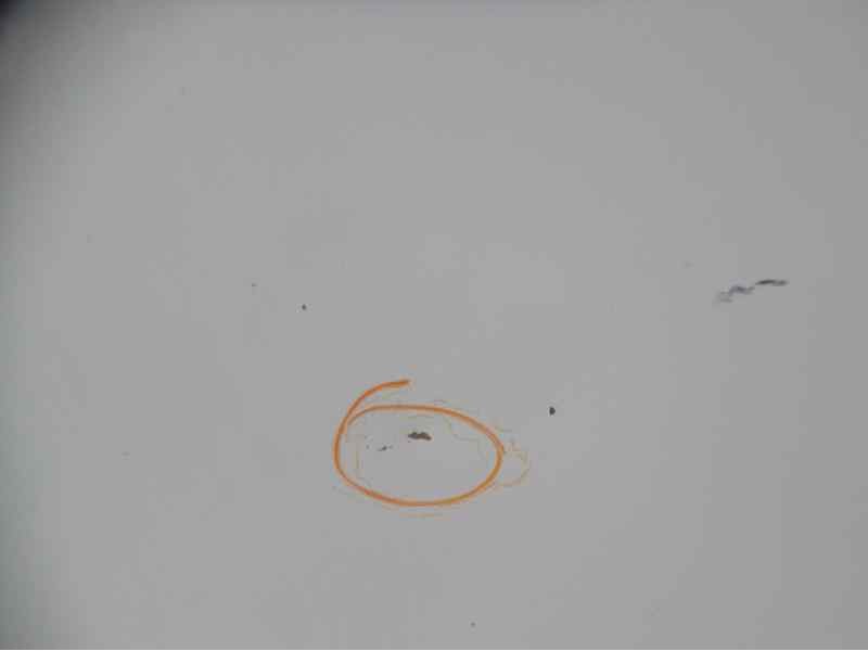 Recambio de capo para volkswagen polo berlina (6n1) básico referencia OEM IAM 6N0823031D VW0163100 109210730