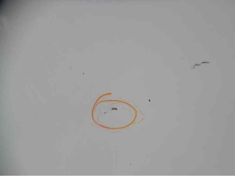 Recambio de capo para volkswagen polo berlina (6n1) básico referencia OEM IAM 6N0823031D VW0163100 109210730