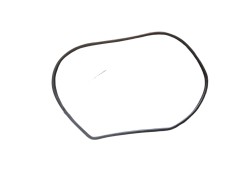 GOMAS CONTORNO PUERTA 769221EA0A 