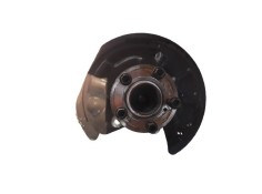 MANGUETA TRASERA IZQUIERDA 2460306 