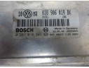 CENTRALITA MOTOR UCE 038906019BK 038906019BK 0281010305