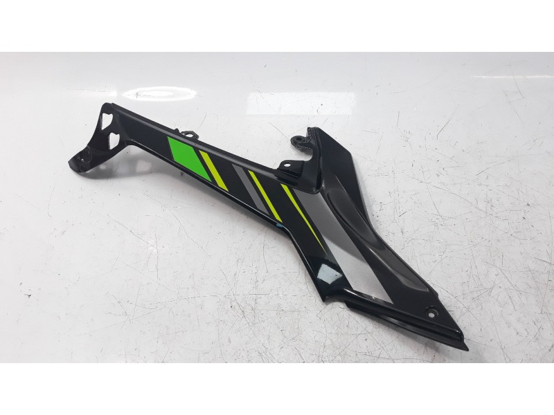 Recambio de moldura para kawasaki ninja 650 referencia OEM IAM 360010651  