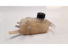 DEPOSITO EXPANSION 217100005R 485712 