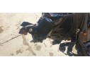 BOMBA FRENO DELANTERA 45510MGH641 45510MGH641 