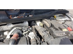 SERVOFRENO 246430123002 