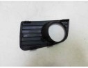 REJILLA PARAGOLPES DERECHA 2E0807676 2E0807676 VG9522133 107234316
