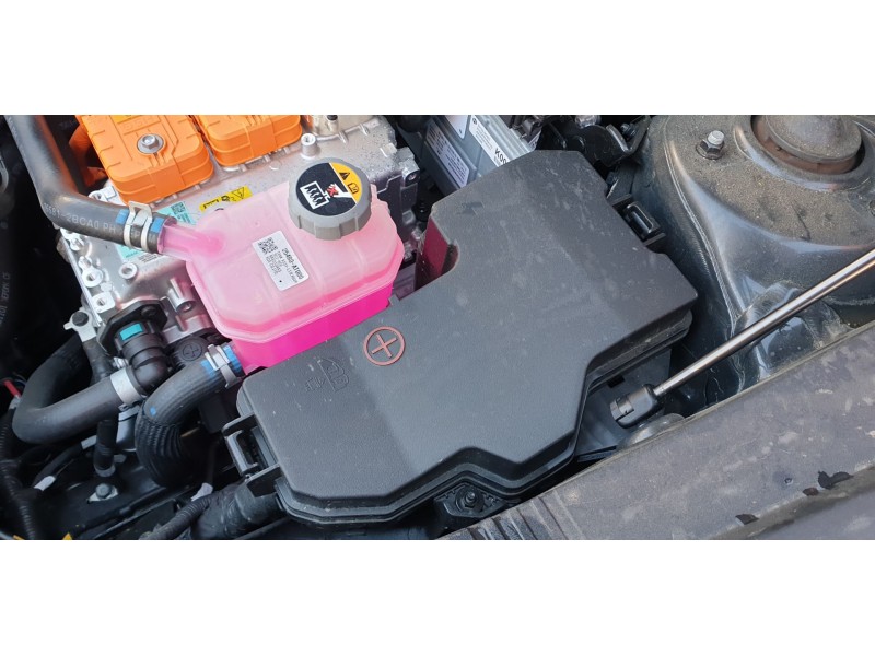 Recambio de caja reles / fusibles para kia niro (sg2) hybrid concept referencia OEM IAM 919650AT680  