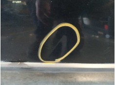 Recambio de puerta delantera derecha para bmw x5 (e53) 3.0d referencia OEM IAM 41518256824   2