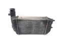 INTERCOOLER 1340934080 30066A 
