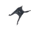 MOLDURA B6HF842M00 B6HF842M00 