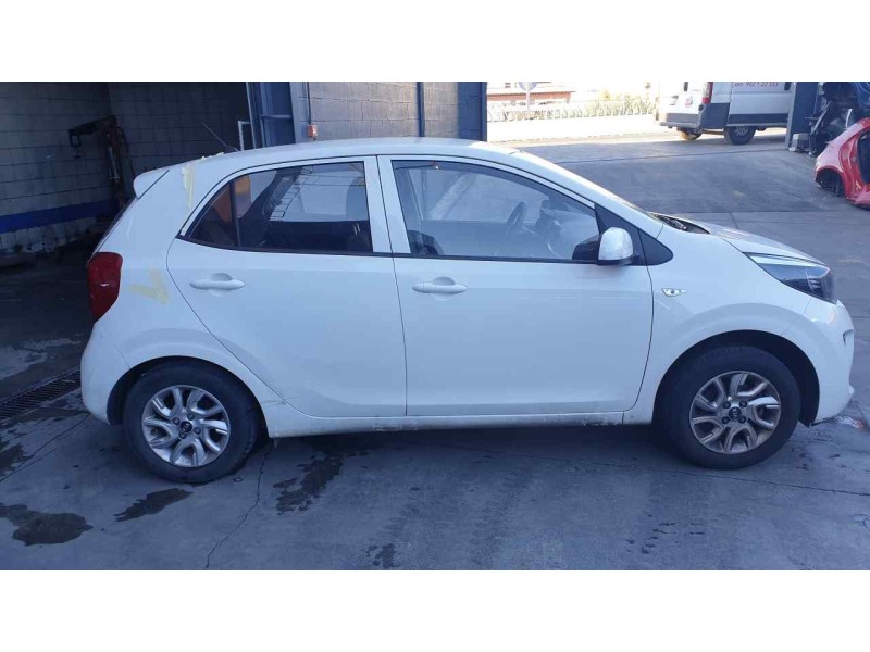 kia picanto (ja) del año 2019